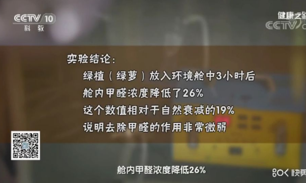 綠植能除甲醛嗎？